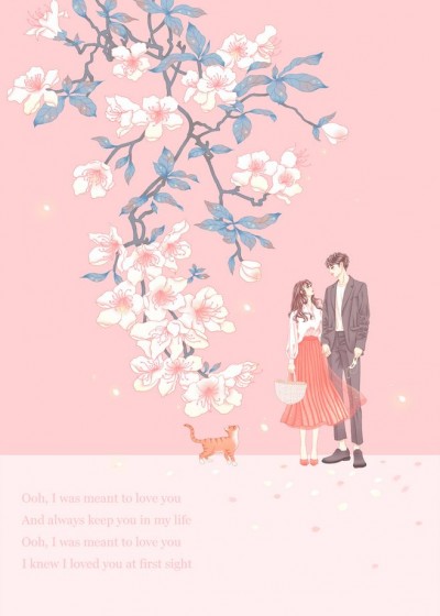 佛系小主播:大哥太多扛不住全文免费阅读