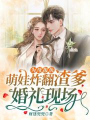 为母报仇,萌娃炸翻渣爹婚礼现场!全文免费阅读