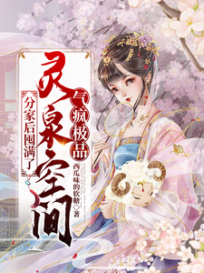 �ּҺ��������Ȫ�ռ䣬���輫Ʒȫ������Ķ�