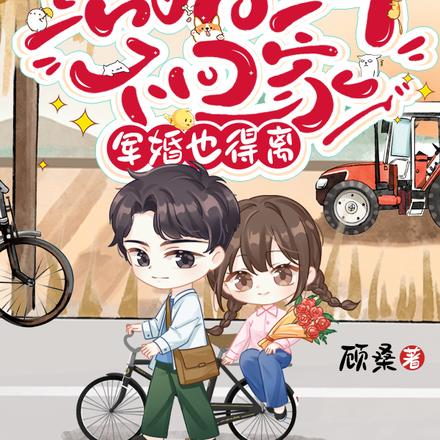 结婚三年不回家,军婚也得离全文免费阅读