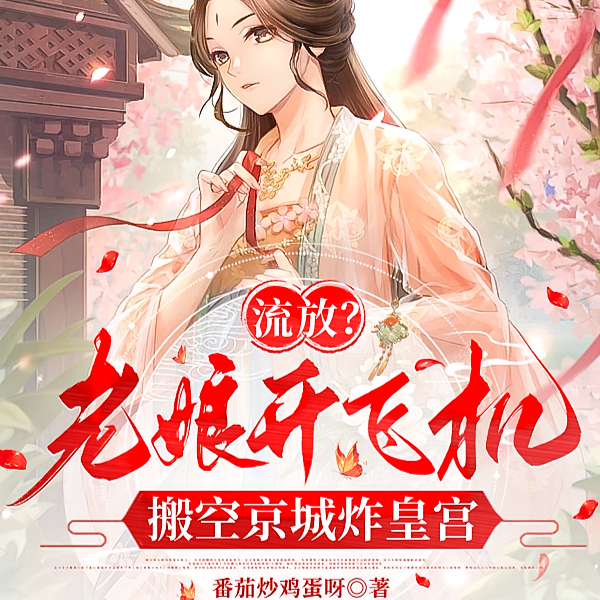 流放?老娘开飞机搬空京城炸皇宫全文免费阅读